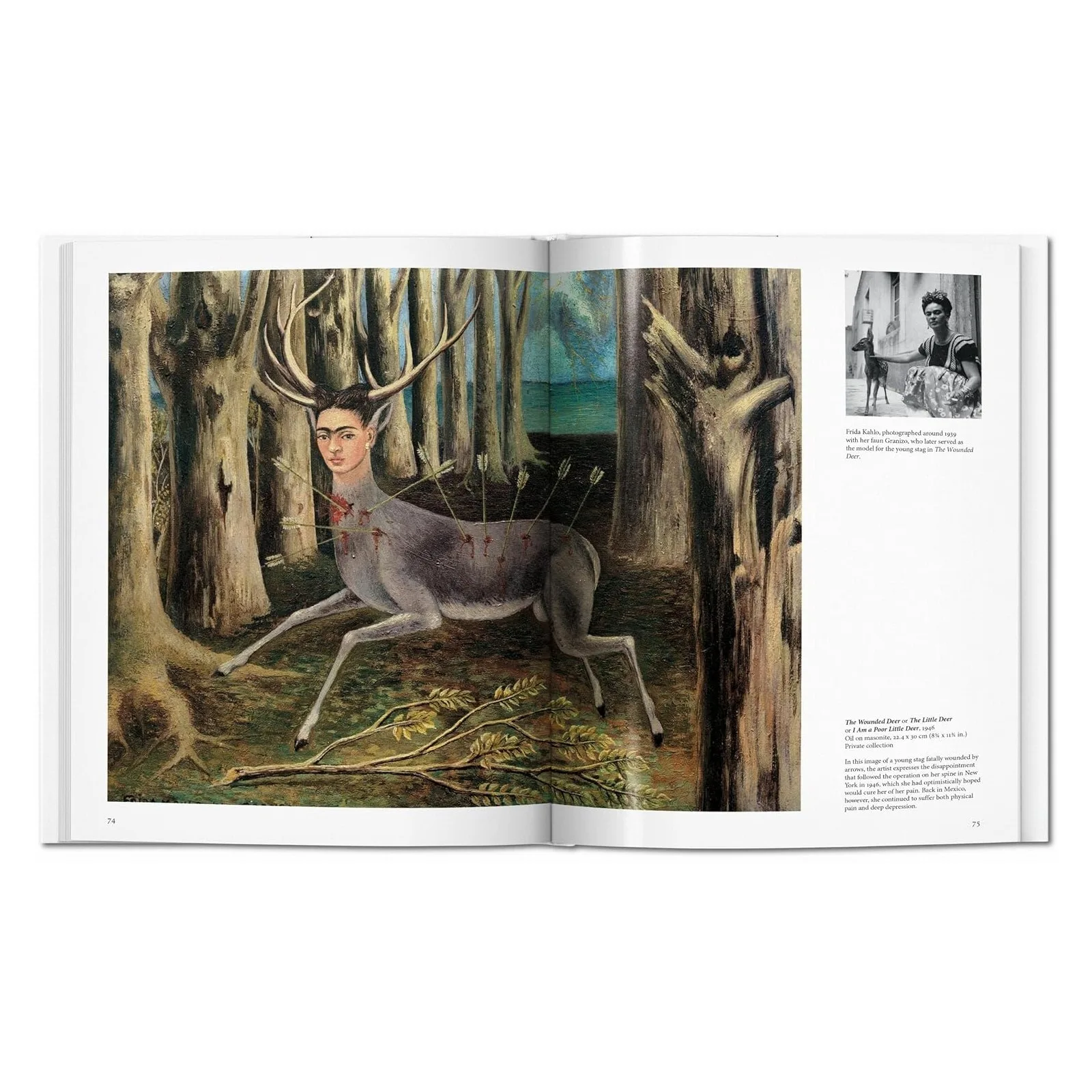 Frida Kahlo (Basic Art)