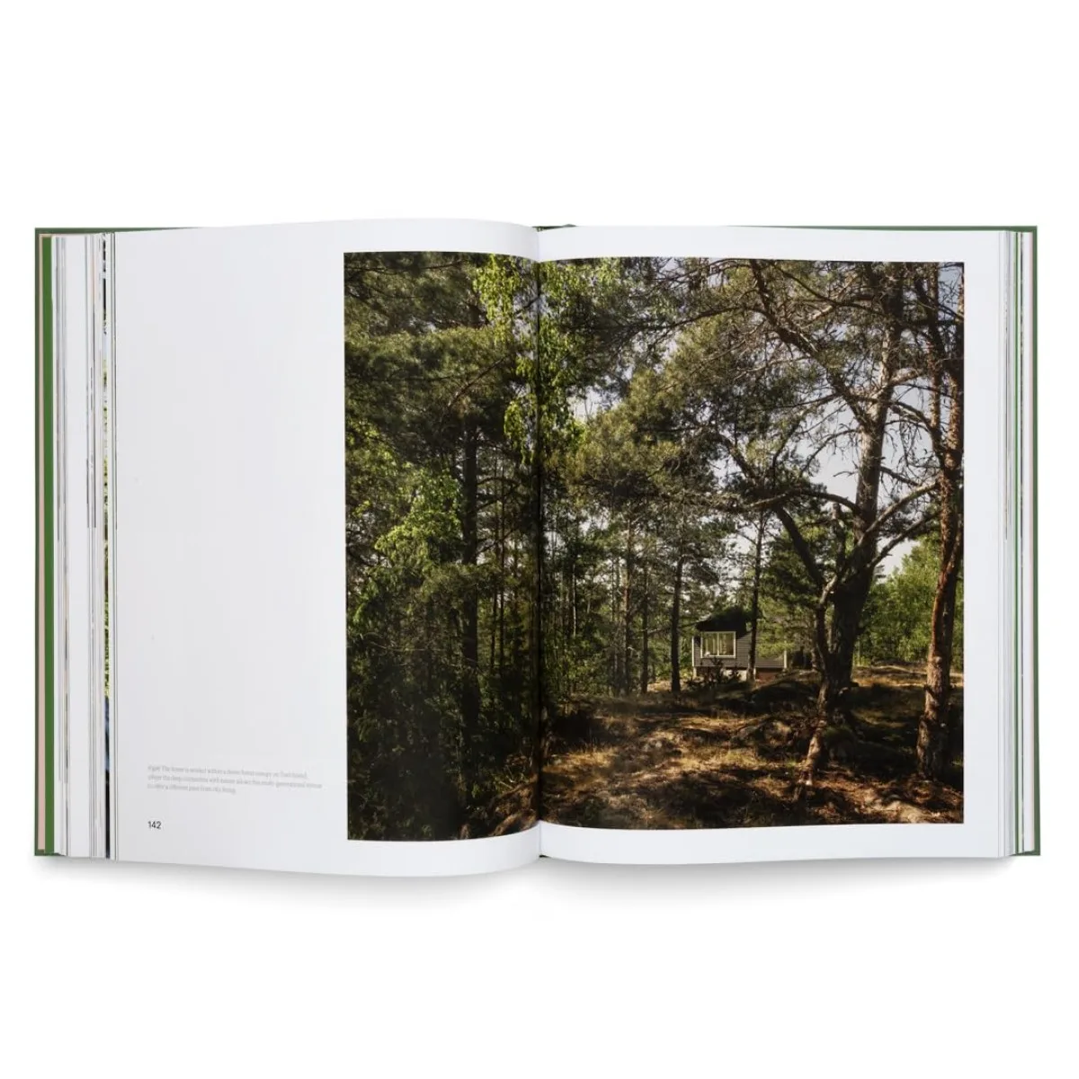 Cottagecore: New Countryside Living