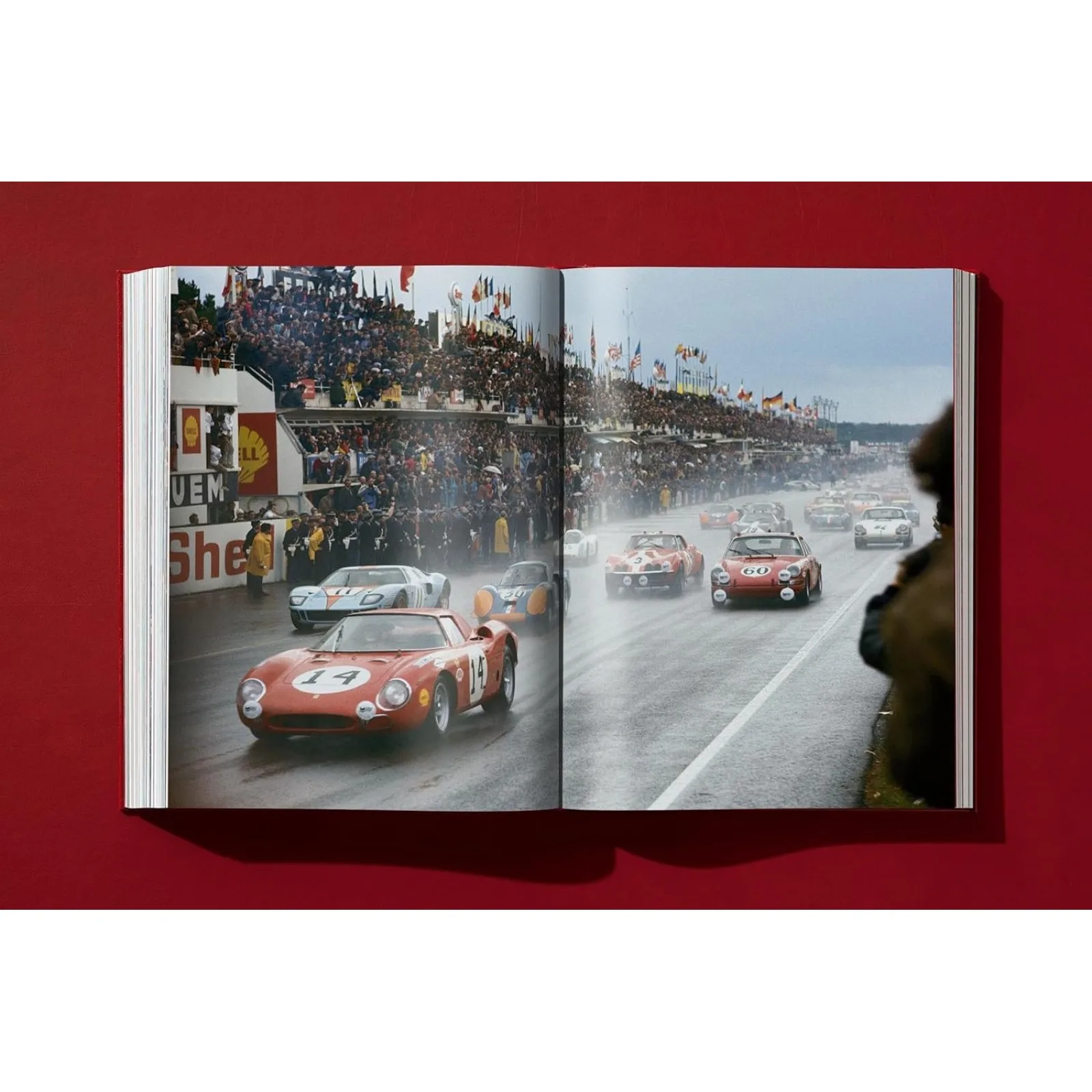 Ferrari by Pino Allievi