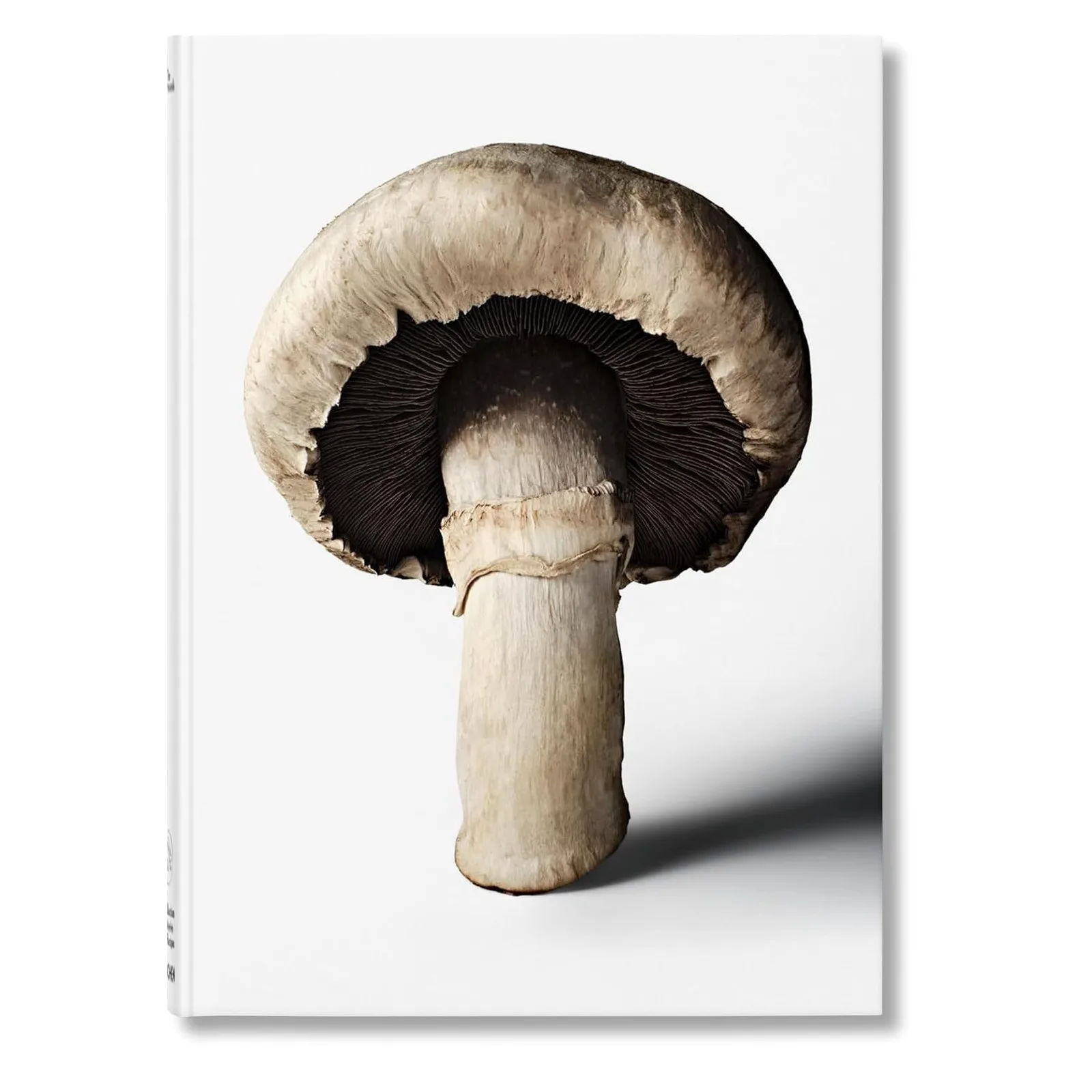 The Gourmand's Mushroom: A Collection of Stories & Recipe