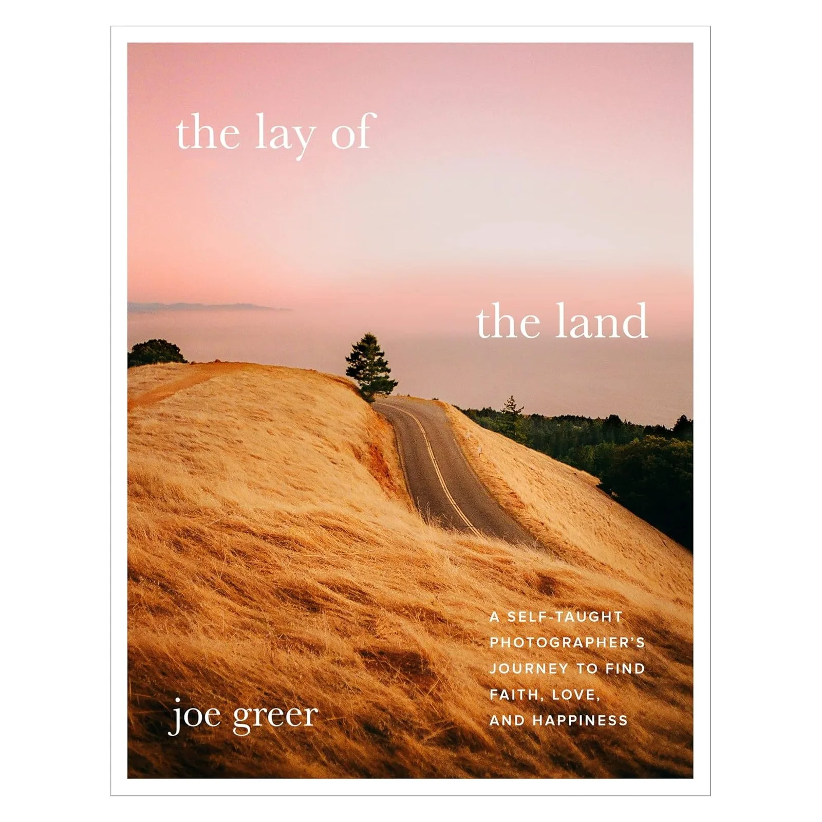 The Lay of the Land by Joe Greer